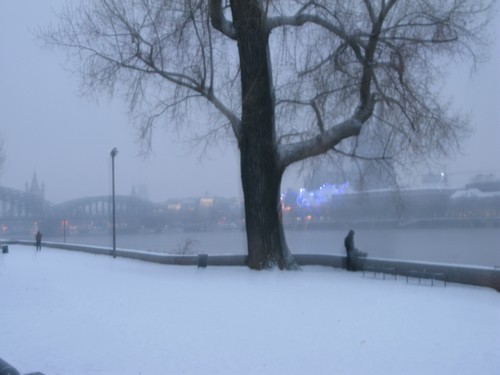 Der Kölner Rheinpark im Schnee