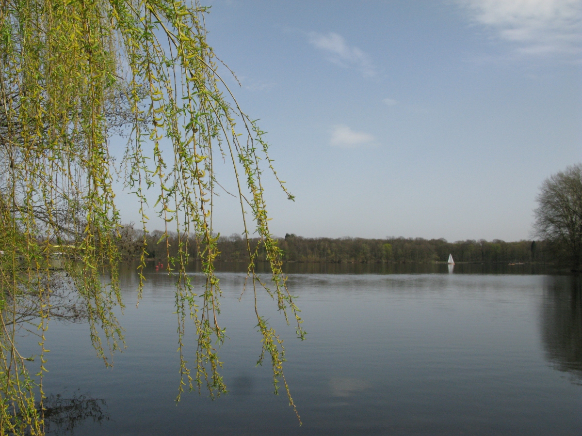 Ein  schöner Tag an der Sechs-Seen-Platte Duisburg